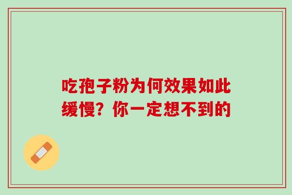 吃孢子粉为何效果如此缓慢？你一定想不到的-第1张图片-灵芝之家