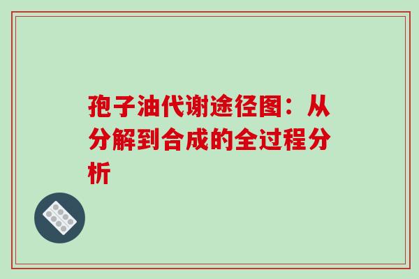 孢子油代谢途径图：从分解到合成的全过程分析-第1张图片-灵芝之家