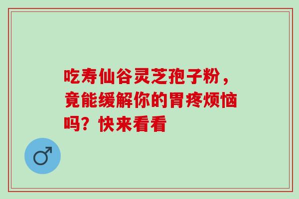 吃寿仙谷灵芝孢子粉，竟能缓解你的胃疼烦恼吗？快来看看-第1张图片-灵芝之家