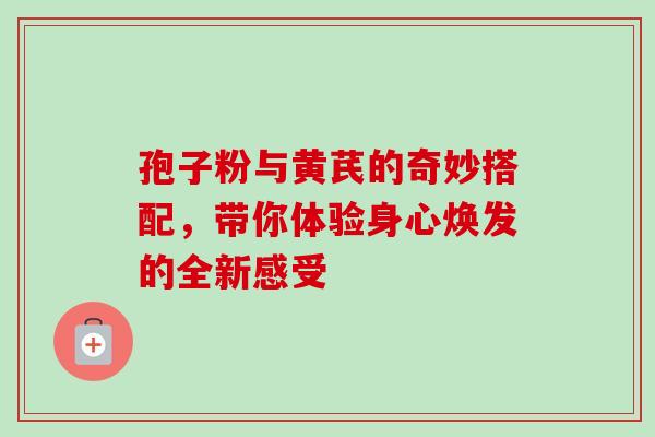孢子粉与黄芪的奇妙搭配,带你体验身心焕发的全新感受-第1张图片-灵芝之家 孢子粉与黄芪的奇妙搭配,带你体验身心焕发的全新感受-第1张图片-灵芝之家