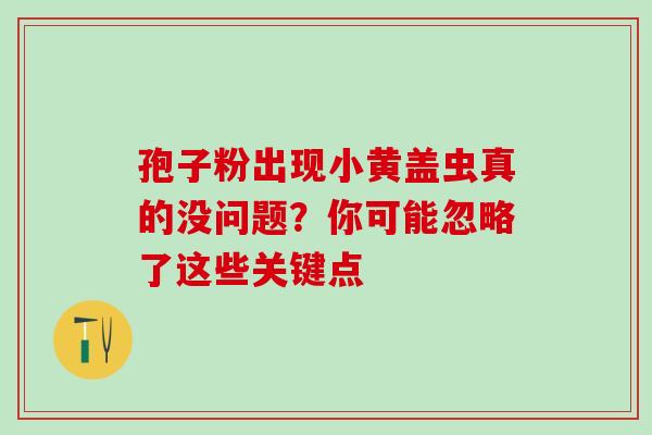 孢子粉出现小黄盖虫真的没问题?你可能忽略了这些关键点-第1张图片-灵芝之家 孢子粉出现小黄盖虫真的没问题?你可能忽略了这些关键点-第1张图片-灵芝之家