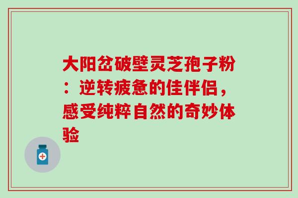 大阳岔破壁灵芝孢子粉:逆转疲惫的佳伴侣,感受纯粹自然的奇妙体验-第1张图片-灵芝之家 大阳岔破壁灵芝孢子粉:逆转疲惫的佳伴侣,感受纯粹自然的奇妙体验-第1张图片-灵芝之家