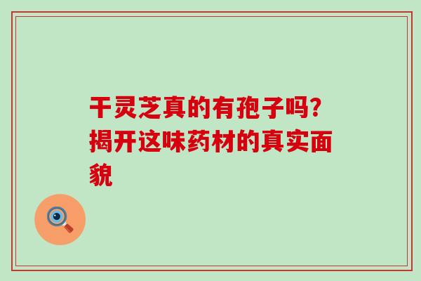 干灵芝真的有孢子吗?揭开这味药材的真实面貌-第1张图片-灵芝之家 干灵芝真的有孢子吗?揭开这味药材的真实面貌-第1张图片-灵芝之家