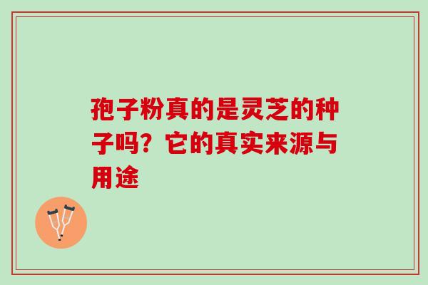 孢子粉真的是灵芝的种子吗?它的真实来源与用途-第1张图片-灵芝之家 孢子粉真的是灵芝的种子吗?它的真实来源与用途-第1张图片-灵芝之家