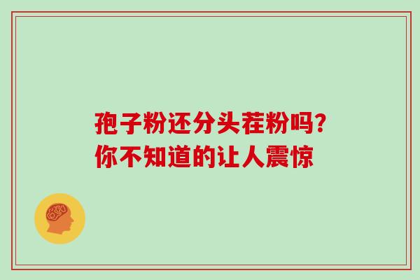 孢子粉还分头茬粉吗?你不知道的让人震惊-第1张图片-灵芝之家 孢子粉还分头茬粉吗?你不知道的让人震惊-第1张图片-灵芝之家