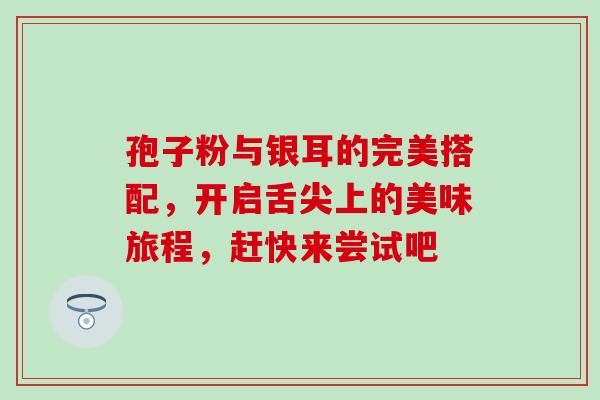孢子粉与银耳的完美搭配,开启舌尖上的美味旅程,赶快来尝试吧-第1张图片-灵芝之家 孢子粉与银耳的完美搭配,开启舌尖上的美味旅程,赶快来尝试吧-第1张图片-灵芝之家