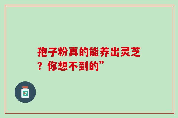 孢子粉真的能养出灵芝?你想不到的”-第1张图片-灵芝之家 孢子粉真的能养出灵芝?你想不到的”-第1张图片-灵芝之家