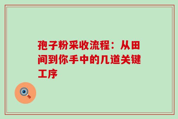 孢子粉采收流程:从田间到你手中的几道关键工序-第1张图片-灵芝之家 孢子粉采收流程:从田间到你手中的几道关键工序-第1张图片-灵芝之家