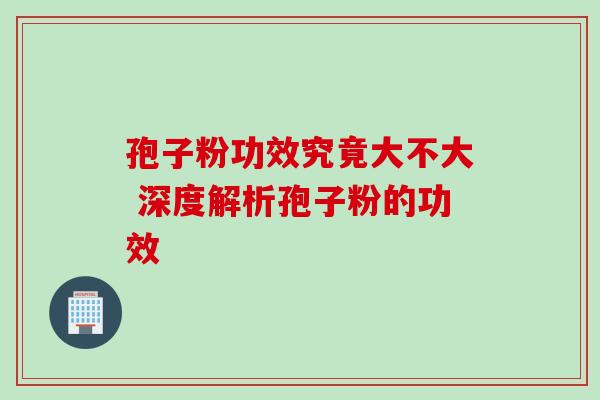 孢子粉功效究竟大不大 深度解析孢子粉的功效-第1张图片-灵芝之家 孢子粉功效究竟大不大 深度解析孢子粉的功效-第1张图片-灵芝之家