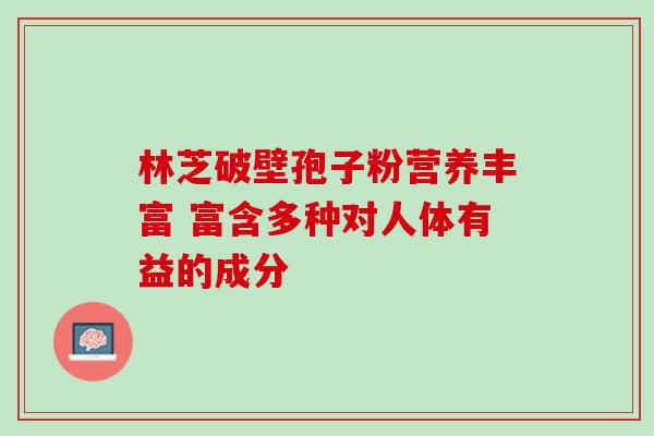 林芝破壁孢子粉营养丰富 富含多种对人体有益的成分-第1张图片-灵芝之家 林芝破壁孢子粉营养丰富 富含多种对人体有益的成分-第1张图片-灵芝之家