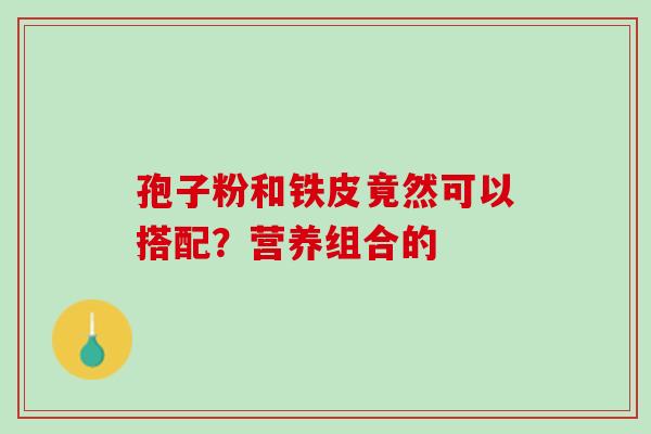 孢子粉和铁皮竟然可以搭配?营养组合的-第1张图片-灵芝之家 孢子粉和铁皮竟然可以搭配?营养组合的-第1张图片-灵芝之家